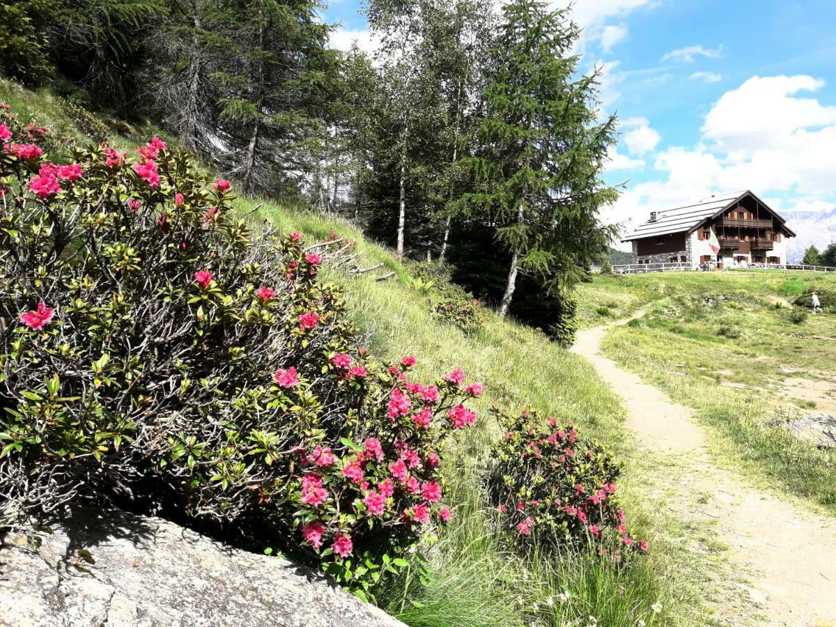 Rifugio Al Lago Del Mortirolo In Inverno Raggiungibile Solo A Piedi Villa Monno Exterior photo